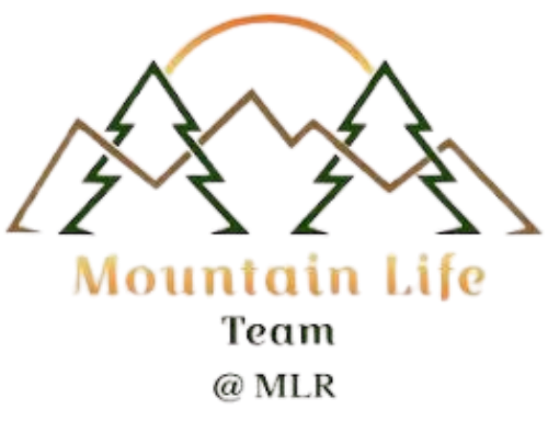 Your Real Estate Hub